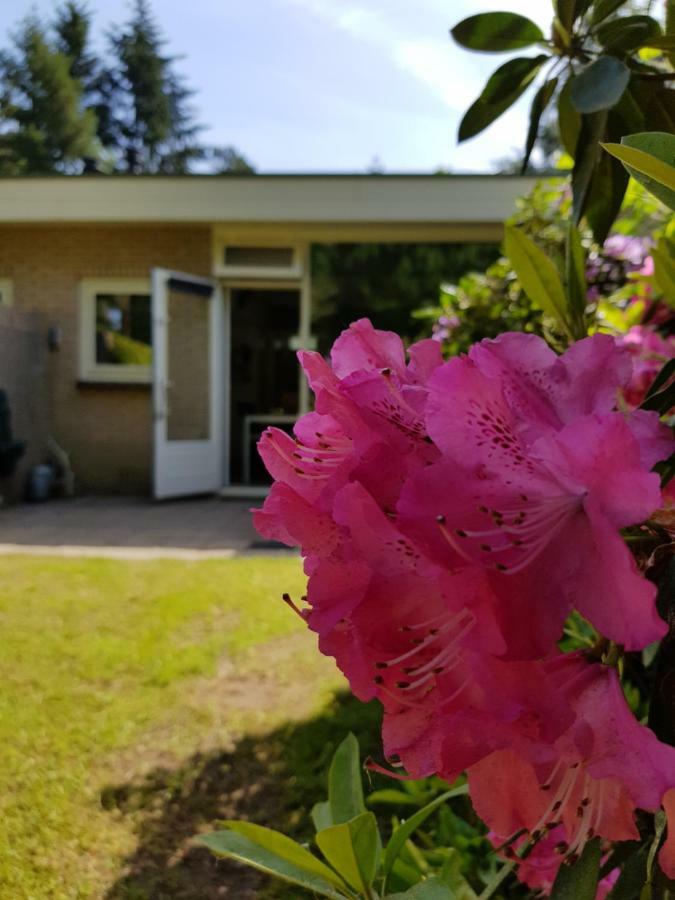 Bungalow Hartje Veluwe Otterlo Exterior foto